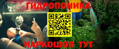 молекула духа Новозыбков