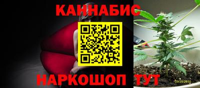 ПСИЛОЦИБИНОВЫЕ ГРИБЫ Новокубанск