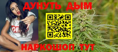 молекула духа Новозыбков