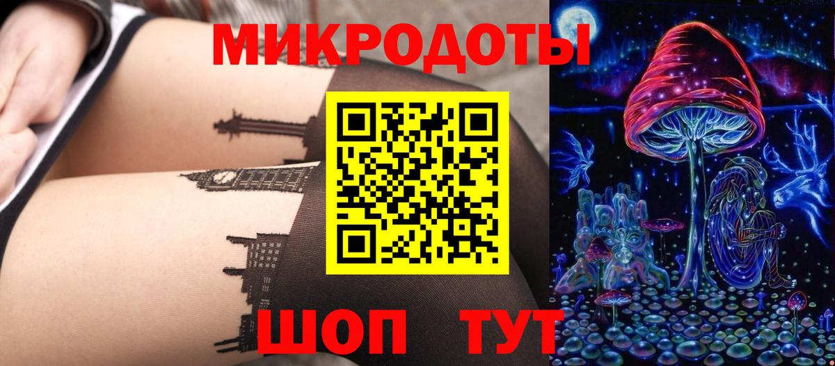 Псилоцибиновые грибы Psilocybe  где найти   Псилоцибиновые грибы Psilocybine cubensis  Сланцы  Вход с VPN 