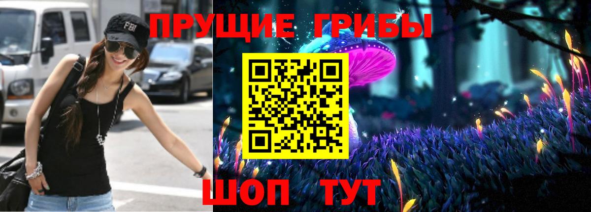 Псилоцибиновые грибы Psilocybine cubensis Сланцы